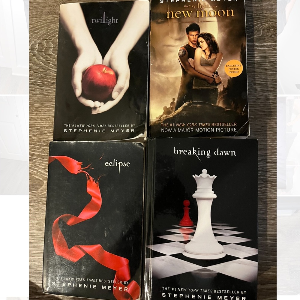 Twilight Saga (four book bundle)